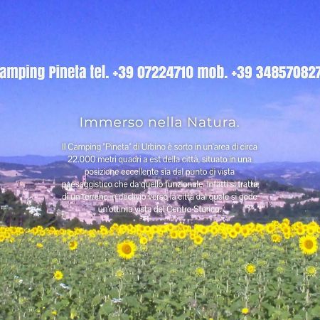 Camping Pineta Urbino Exterior photo